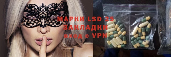 индика Осинники