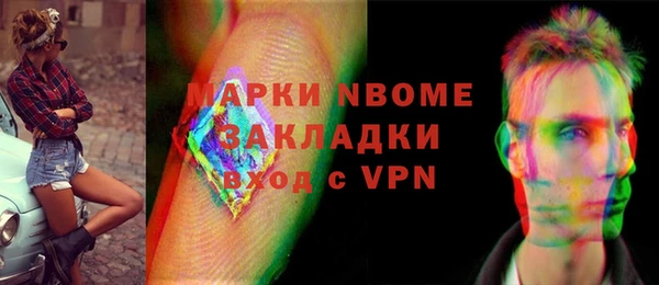 индика Осинники