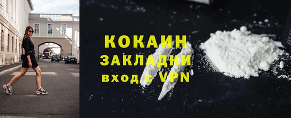 индика Осинники