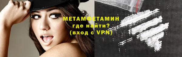 индика Осинники