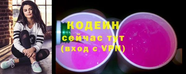 индика Осинники