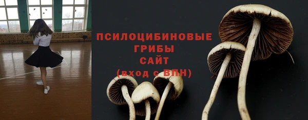 индика Осинники