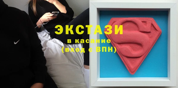 индика Осинники