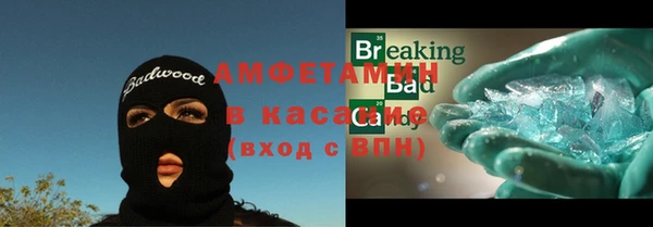 индика Осинники