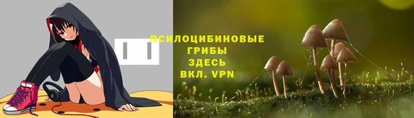 экстази Осташков