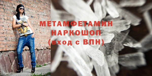 индика Осинники