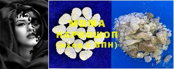 индика Осинники