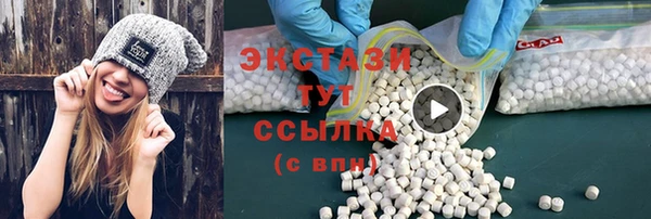 индика Осинники