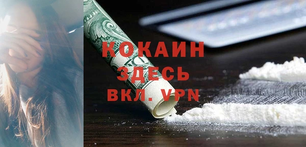 индика Осинники