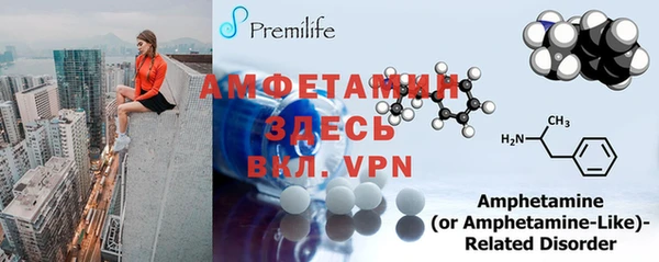 индика Осинники