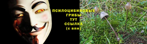 экстази Осташков