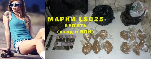 индика Осинники