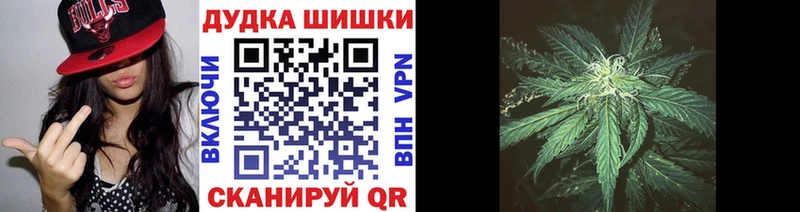 Бошки Шишки гибрид Ветлуга